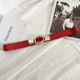 DOUBLE BUCKLE ELASTIC FASHIONABLE WAIST BELT_CWABE0652