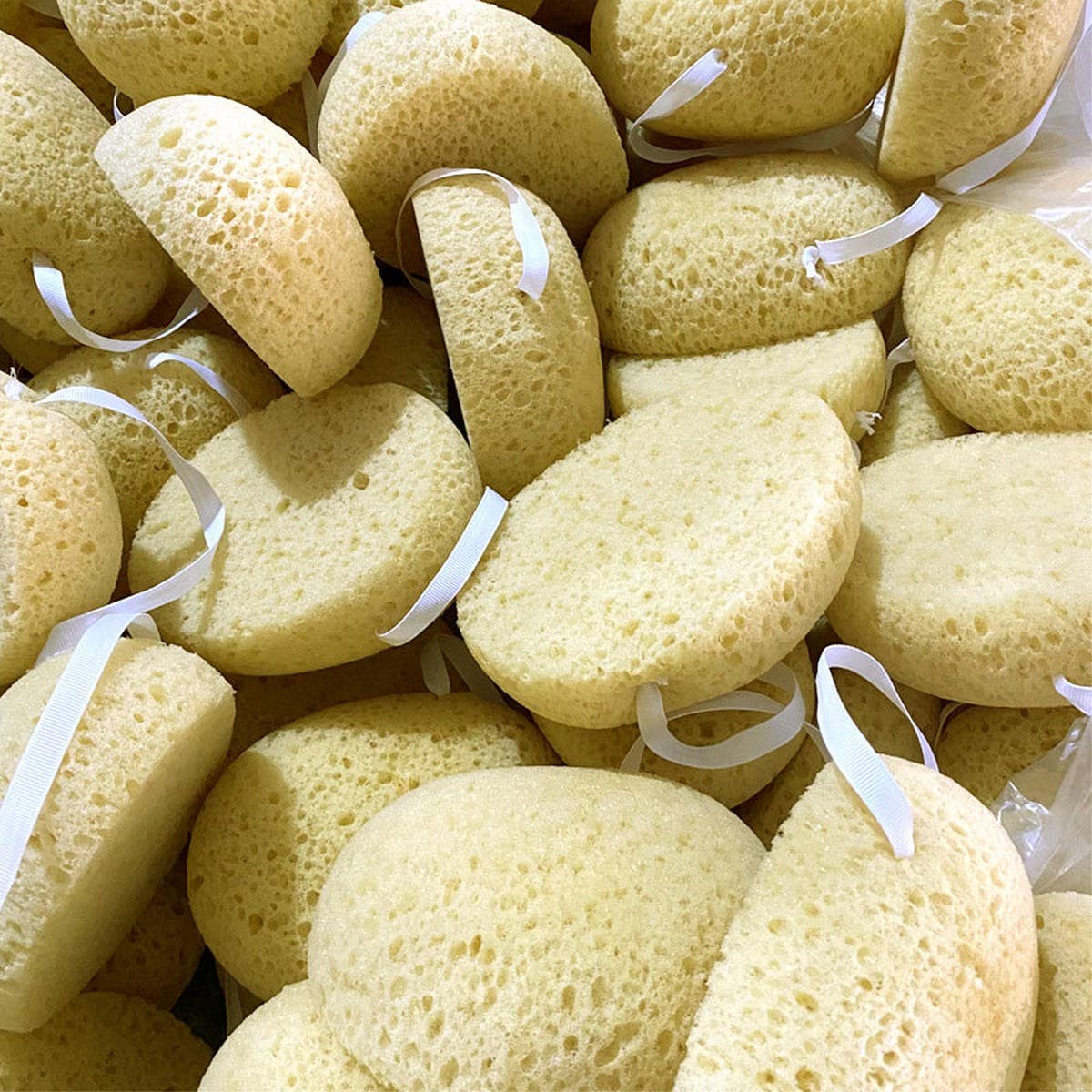 LARGE POROUS SEAWEED BATH SPONGE_CWMM3411