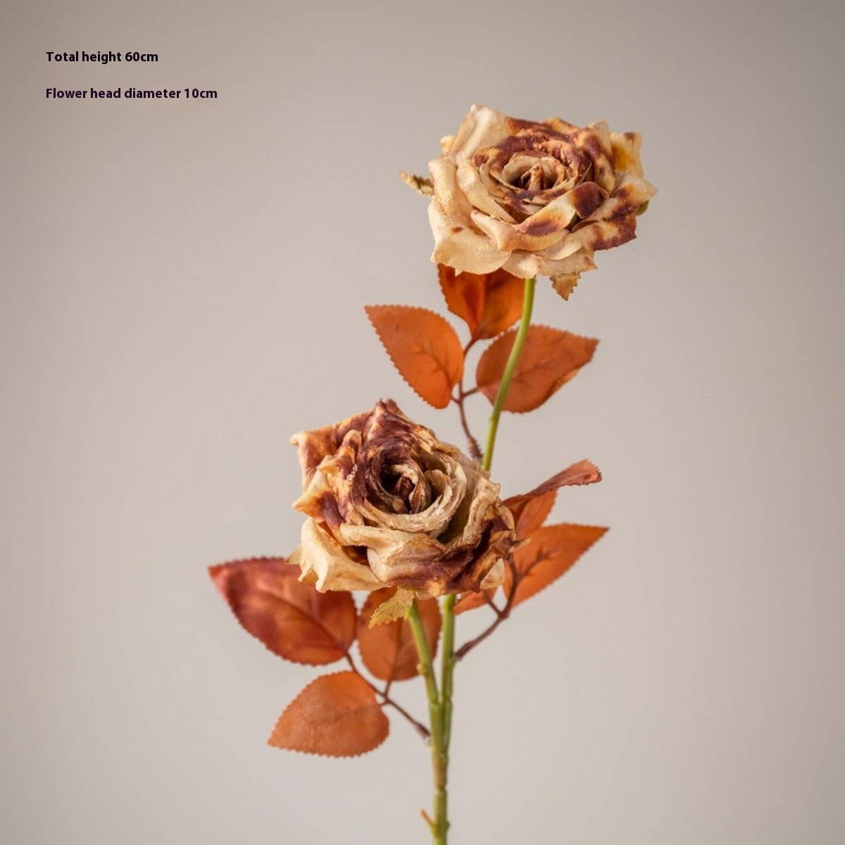 DRIED TONE BURNT EDGE ROSE BOUQUET FOR DECOR_CWMM6577