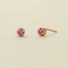 Twelve Zodiac Sign Earrings Zircon Fashion