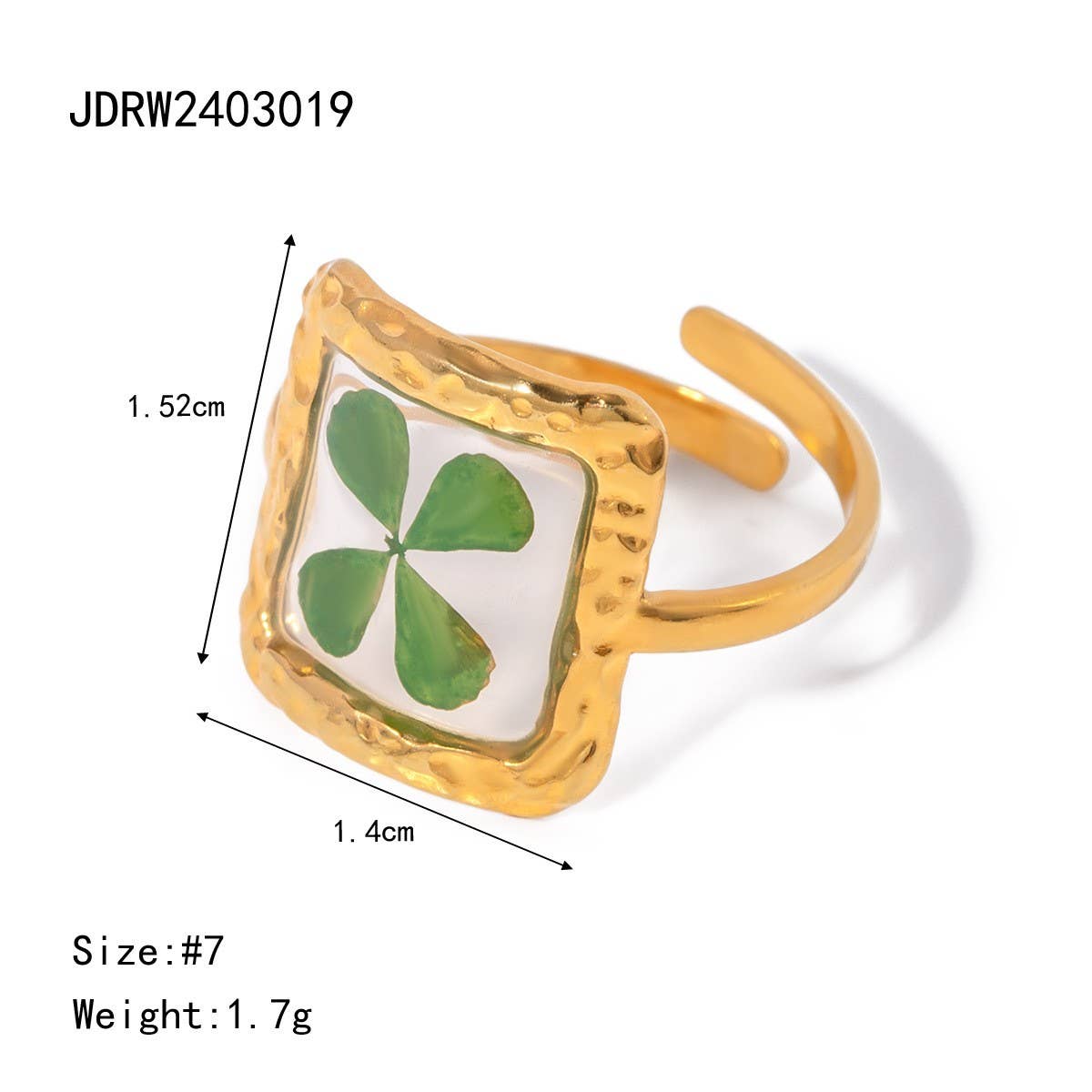 ROUND PRESERVED DRIED FLOWER RING_CWAJE1777