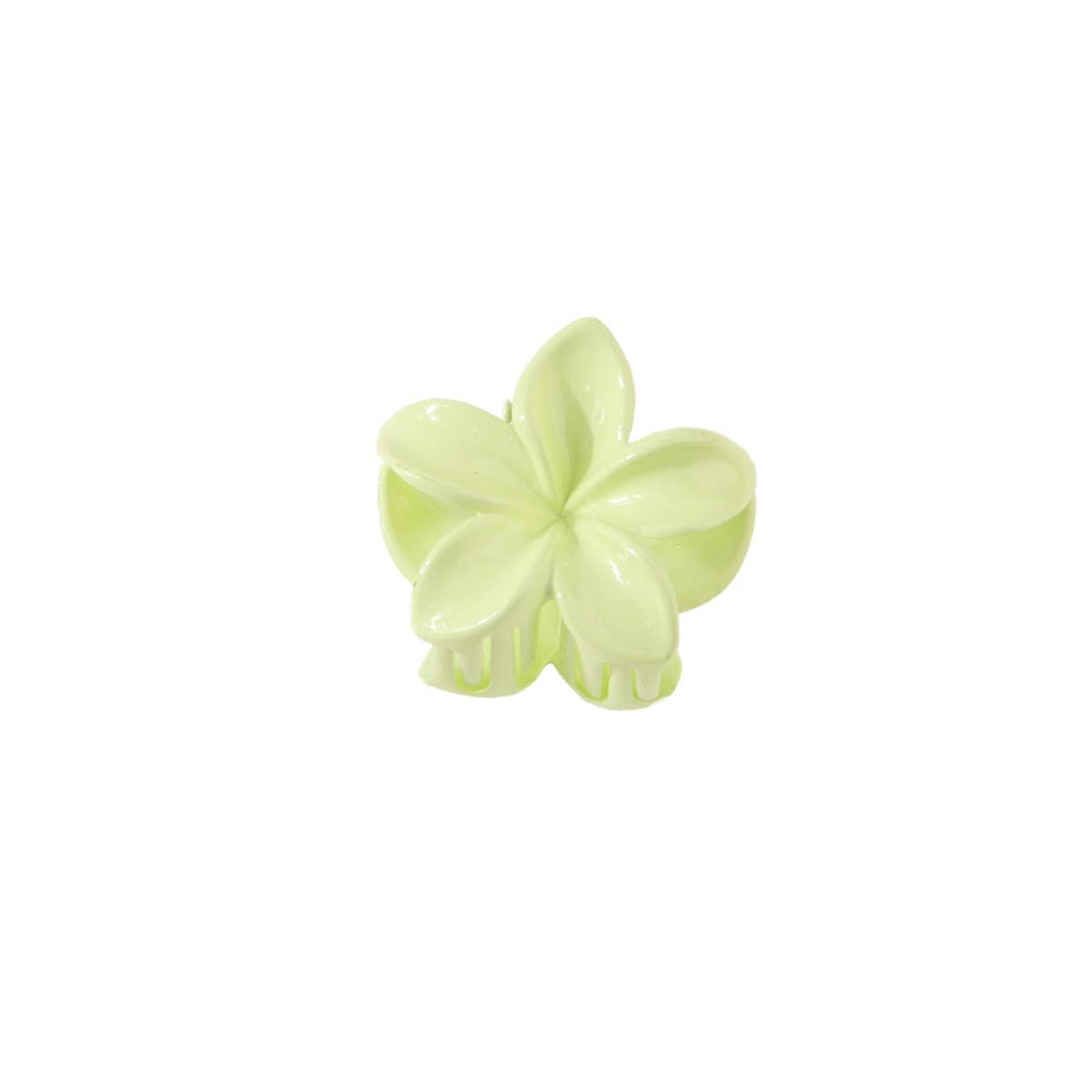 CANDY COLOR PLUMERIA CLAW CLIP SMALL FLOWER CLIP_CWMM4939
