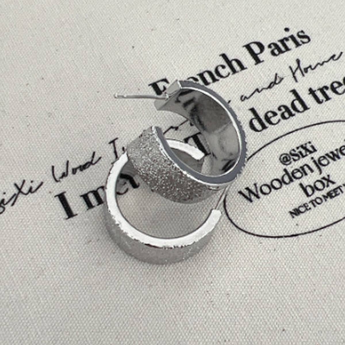 LIGHT LUXURY CURVED EARRINGS_CWAJE1449