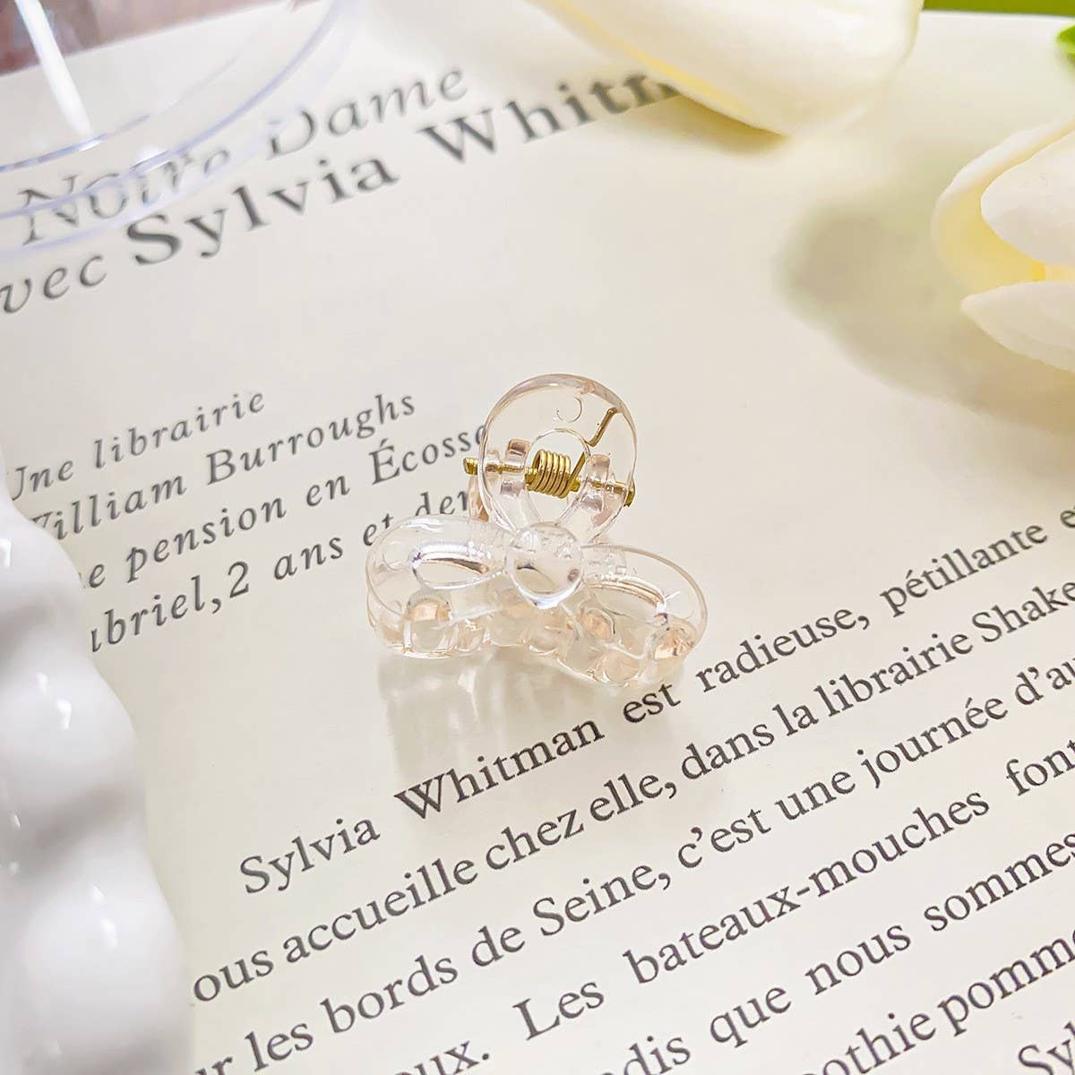 Rainbow Mini Transparent Gripper Claw Clip_Cwaha0721