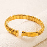 NON FADING TITANIUM STEEL ELASTIC SPRING BRACELET_CWMM3739