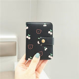 2024 NEW SMALL FRESH FRUIT PRINT CARD HOLDER_CWAB2567