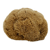 HARD HEAD EXFOLIATING NATURAL SPONGE VELVET SPONGE_CWMM3421