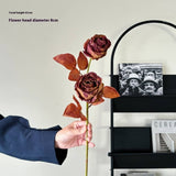 Vintage Ink-Styled Rose Bouquet With Dry Leaves_Cwmm6576