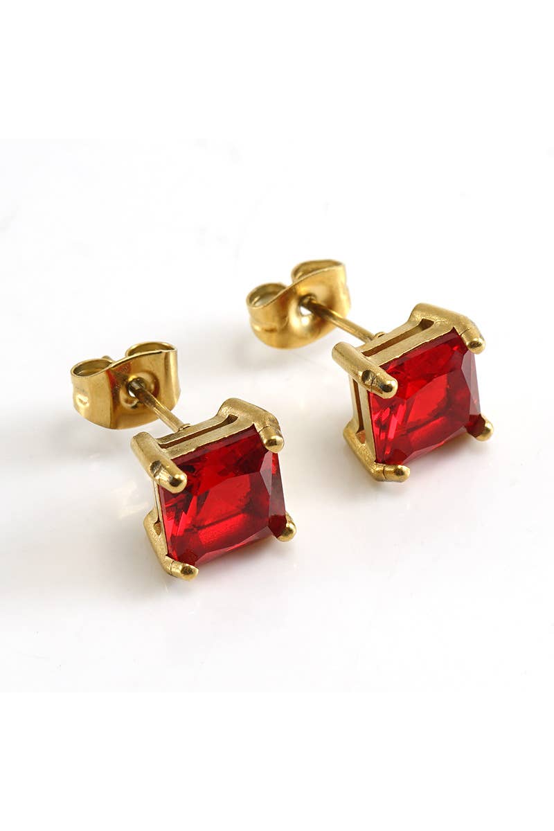 Colored Gem Decked Stainless Steel Earrings_Cwaje0378