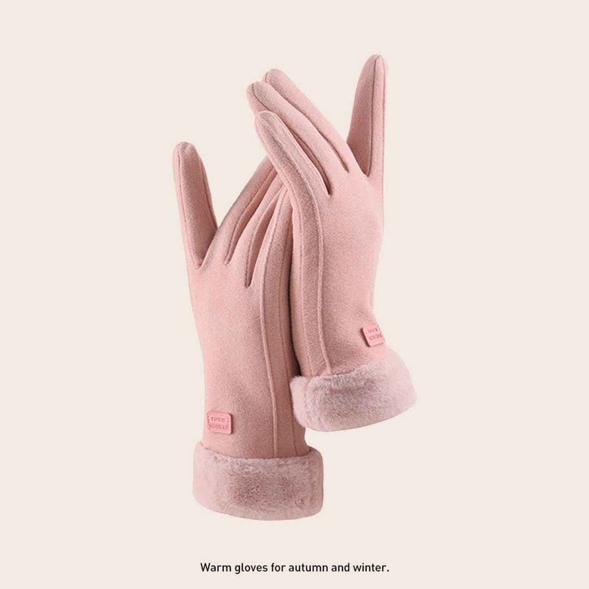 Womens Winter Plush Warm Cute Gloves_Cwag0064