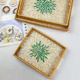 RATTAN WOVEN COLORFUL SHELL TEA TRAY FRUIT TRAY_CWMM4488