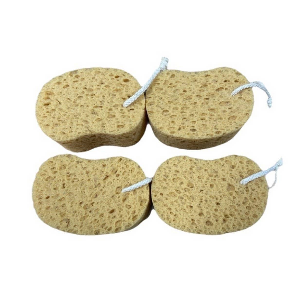 CLEANSING EXFOLIATING SPONGE BATH SCRUB_CWMM3406
