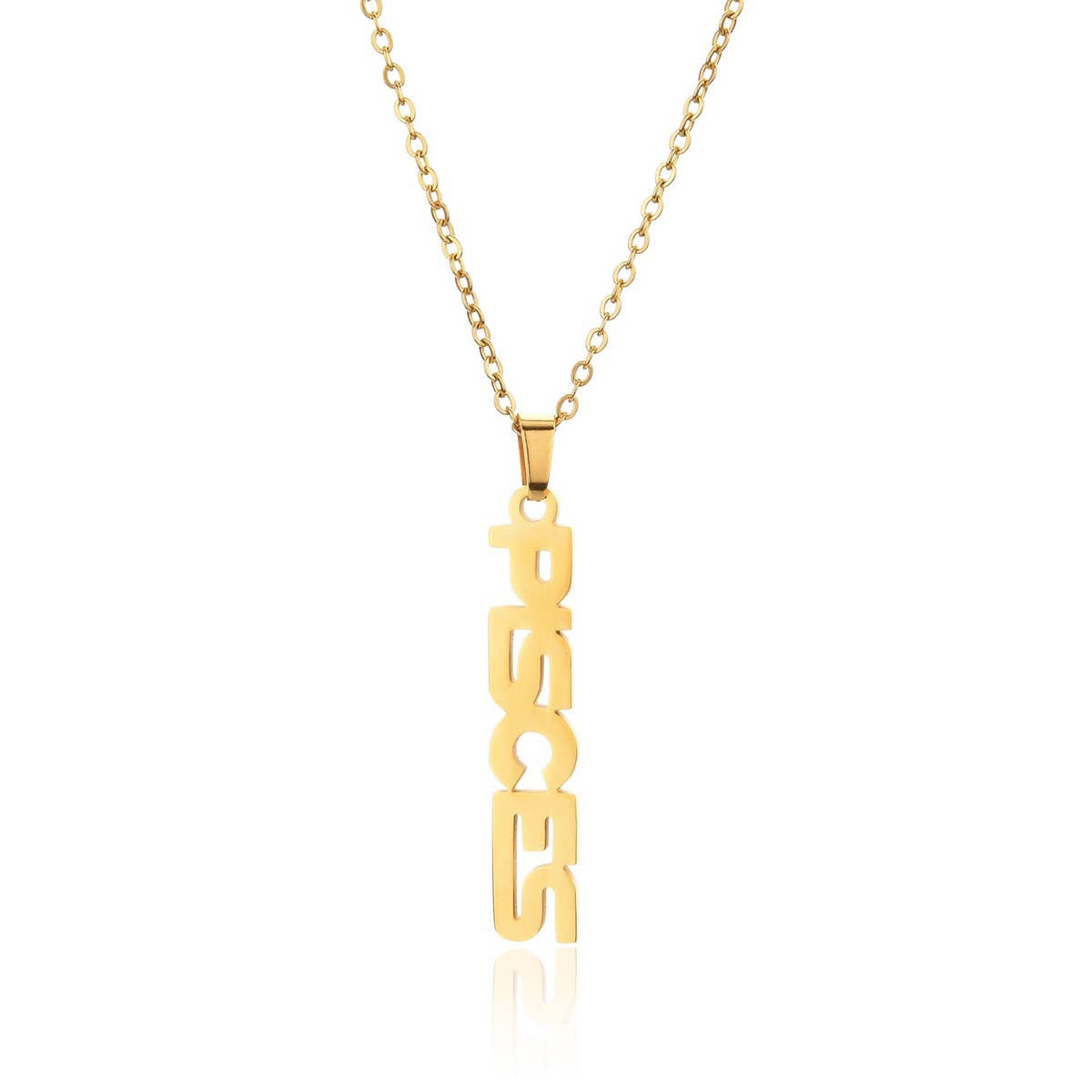 CLAVICLE CHAIN TWELVE ZODIAC TITANIUM NECKLACE_CWMM2717