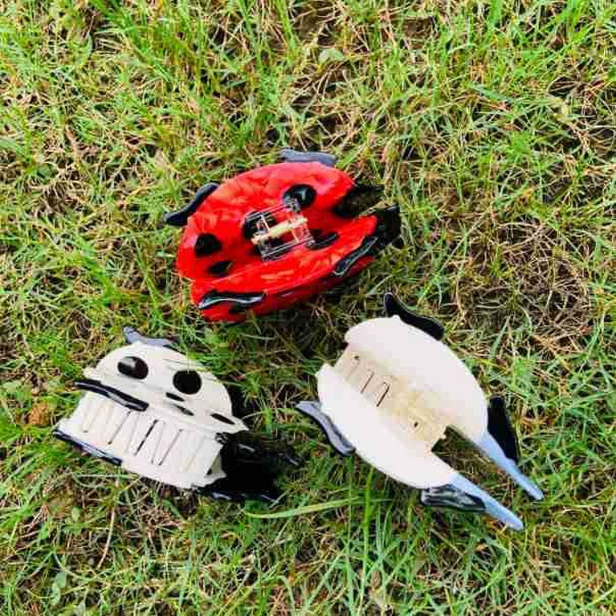 CUTE LADYBUG INSECT SHAPE ACETATE HAIR CLAW CLIP_CWASC1603