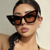 Uv Protection Large Frame Cat Eye Sunglasses_Cwasg0314