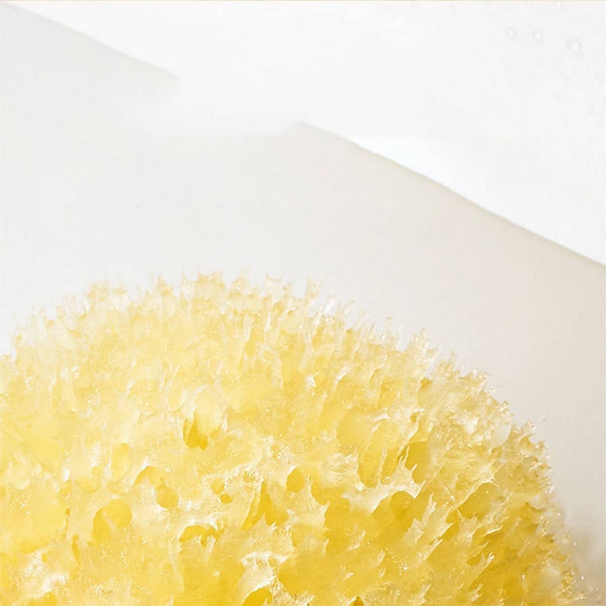 NATURAL SPONGE FOR WASHING FACE AND BATHING_CWMM3417