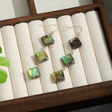 FASHIONABLE ABALONE DIAMOND TASSEL EARRINGS_CWMM4341