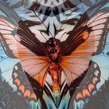 DIGITAL BUTTERFLY PRINT CAPE WRAP BEACH SKIRT_CWBLS0488