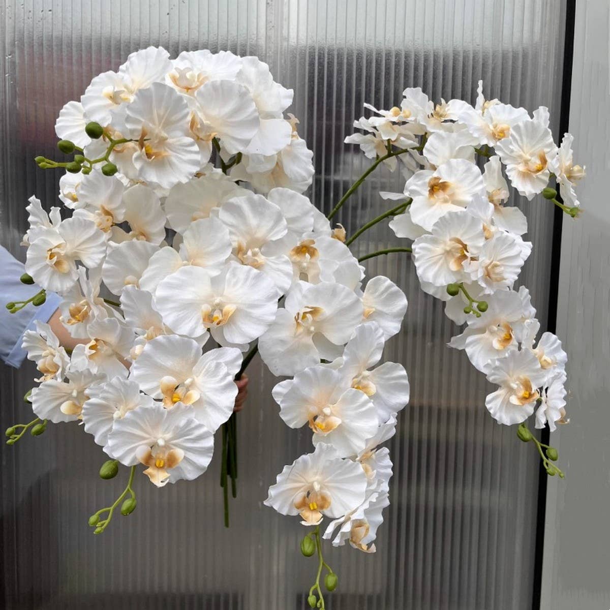 Vintage 9-Head Silk Butterfly Orchid Stem_Cwmm6507