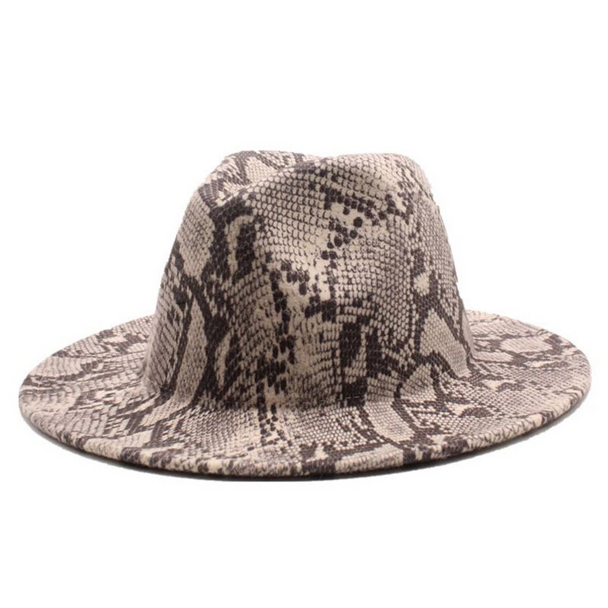 FASHIONABLE SNAKE PATTERN WOOLEN JAZZ HAT_CWAH2588