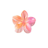 EGG FLOWER GRADIENT HAIR CLAW STYLISH ELEGANT_CWMM4986