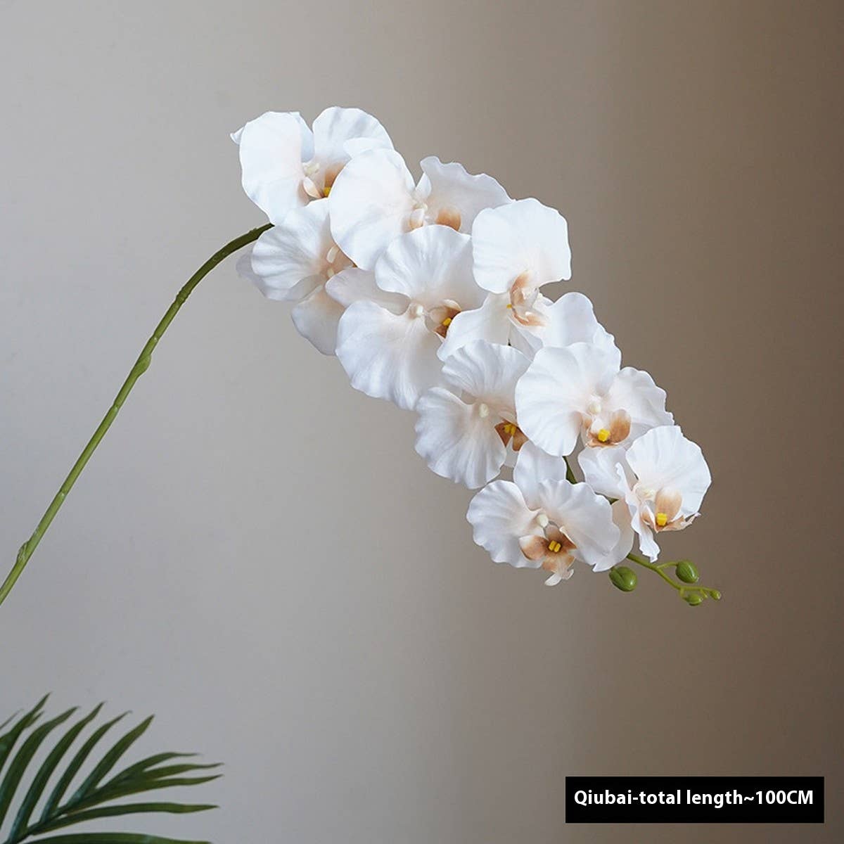 PREMIUM SILK 9 HEAD PHALAENOPSIS ORCHID HOME DECOR_CWMM6479