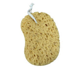 BATH CLEANING SPONGE HONEYCOMB BATH SPONGE_CWMM3405