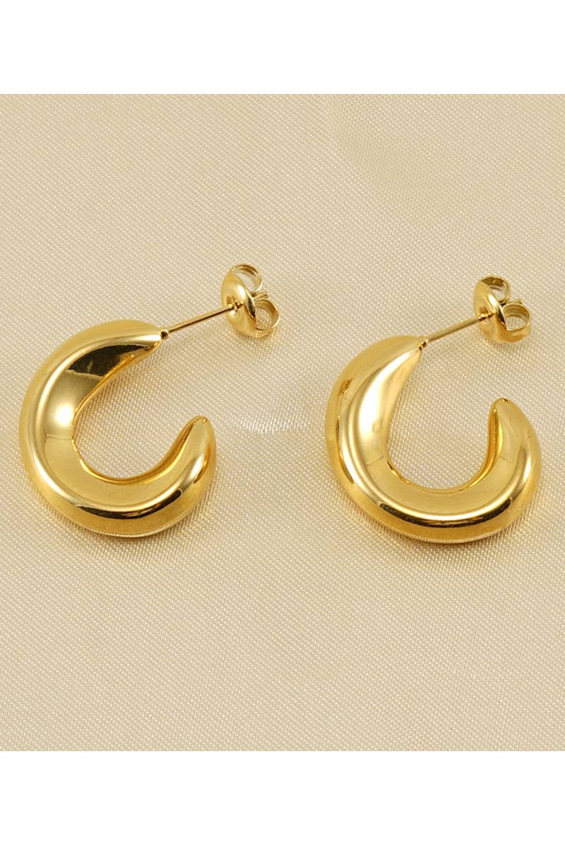 18K Gold Plated Stainless Steel Earrings_Cwaje0387