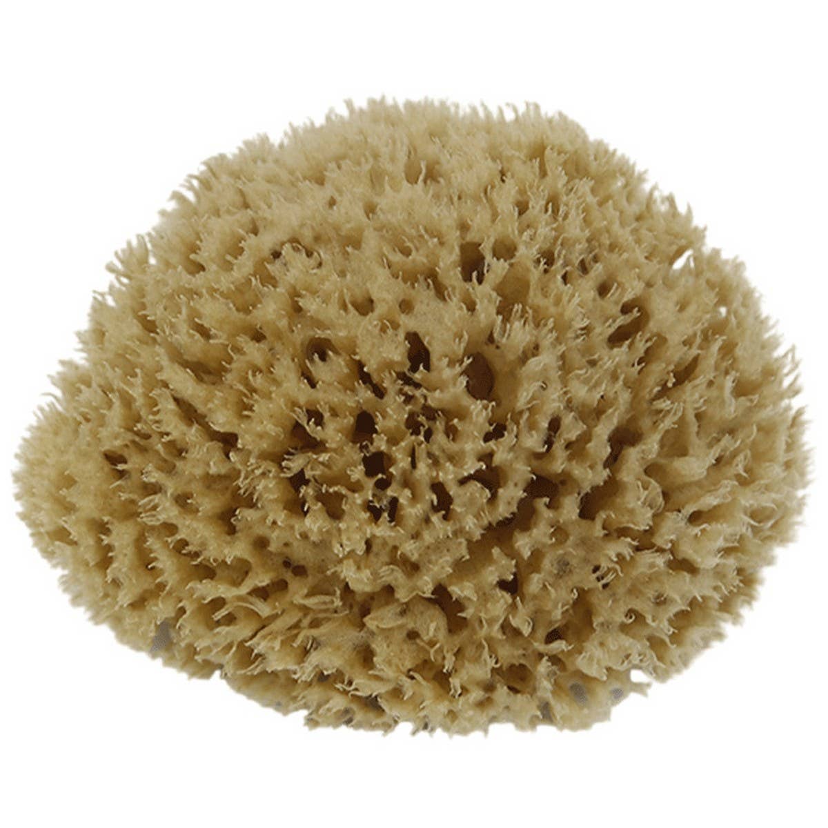 NATURAL COFFEE COLOR SPONGE HONEYCOMB SPONGE_CWMM3418