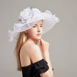 Women New Beach Cover Flower Mesh Hat_Cwah1207