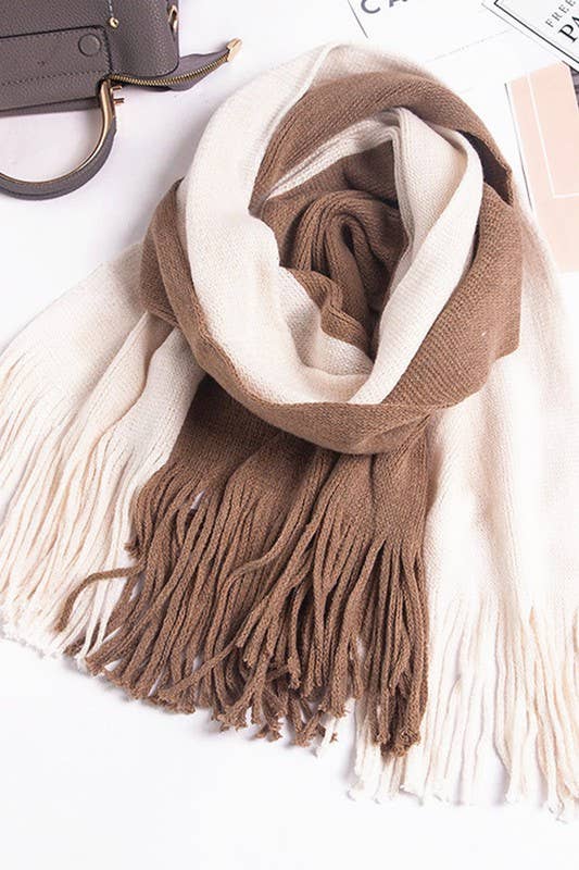 Colorblock Knit Scarf Long Fringe Winter Wrap