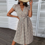 V Neck Leopard Print Plus-Size Dress_Cwdsd3402