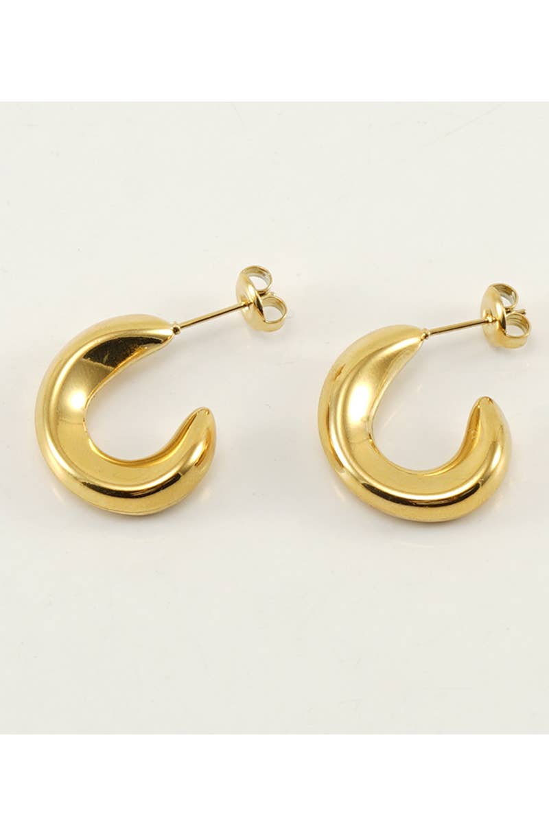 18K Gold Plated Stainless Steel Earrings_Cwaje0387