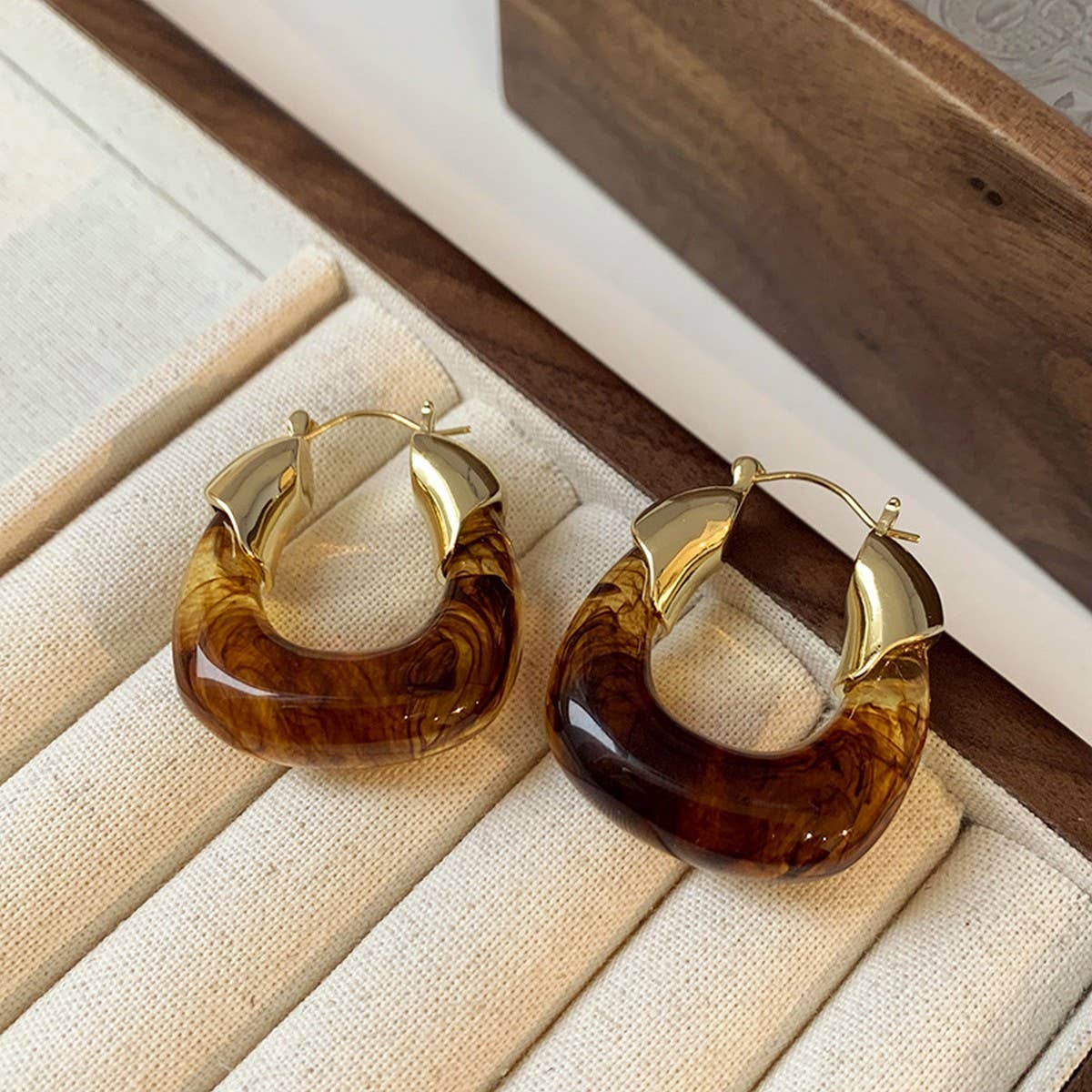 RETRO BROWN LIGHT LUXURY EARRINGS_CWASC1339