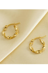 18K Gold Plated Stainless Steel Earrings_Cwaje0385