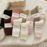 SOLID COLOR WARM THICK FLEECE SOCKS_CWMS0963