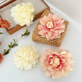 2024 NEW HIGH END SPRING AND SUMMER HAIRPINS_CWAHA1166