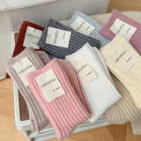 Winter Outdoor All-Match Pile Socks_Cwms1051