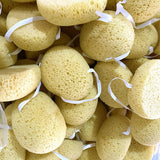 LARGE POROUS SEAWEED BATH SPONGE_CWMM3411