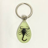 AMBER GLOW IN THE DARK INSECT KEYCHAIN PENDANT_CWMM3698