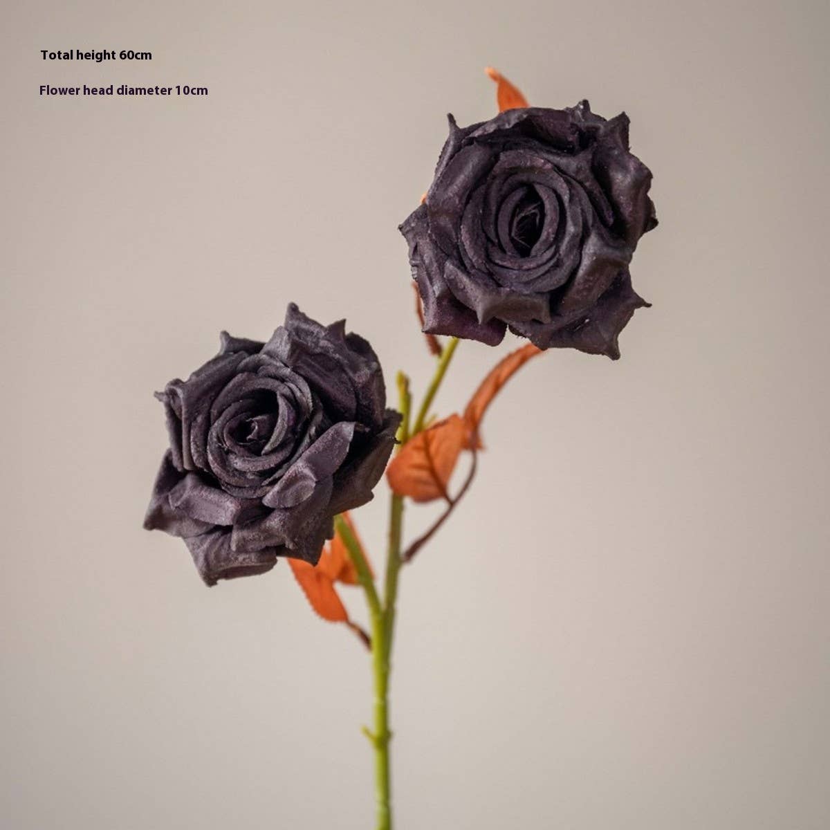 DRIED TONE BURNT EDGE ROSE BOUQUET FOR DECOR_CWMM6577