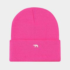EMBROIDERED THICK WARM KNITTED HAT_CWAH2124