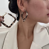 FASHIONABLE LEOPARD PRINT SILVER NEEDLE EARRINGS_CWMM3201