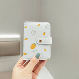 2024 NEW SMALL FRESH FRUIT PRINT CARD HOLDER_CWAB2567