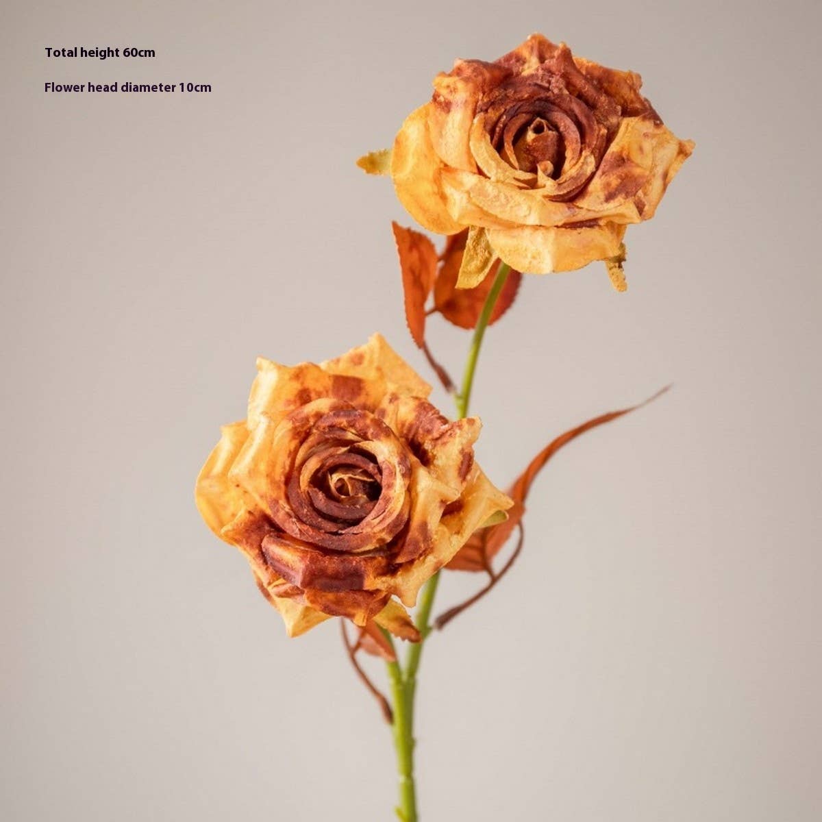 DRIED TONE BURNT EDGE ROSE BOUQUET FOR DECOR_CWMM6577