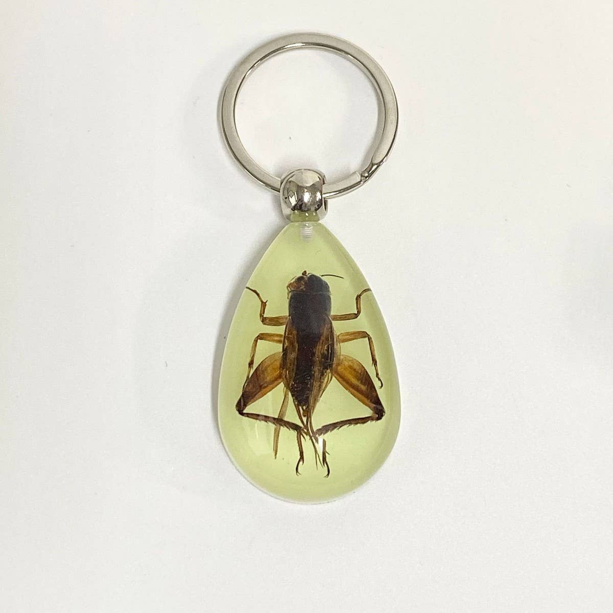 AMBER GLOW IN THE DARK INSECT KEYCHAIN PENDANT_CWMM3698