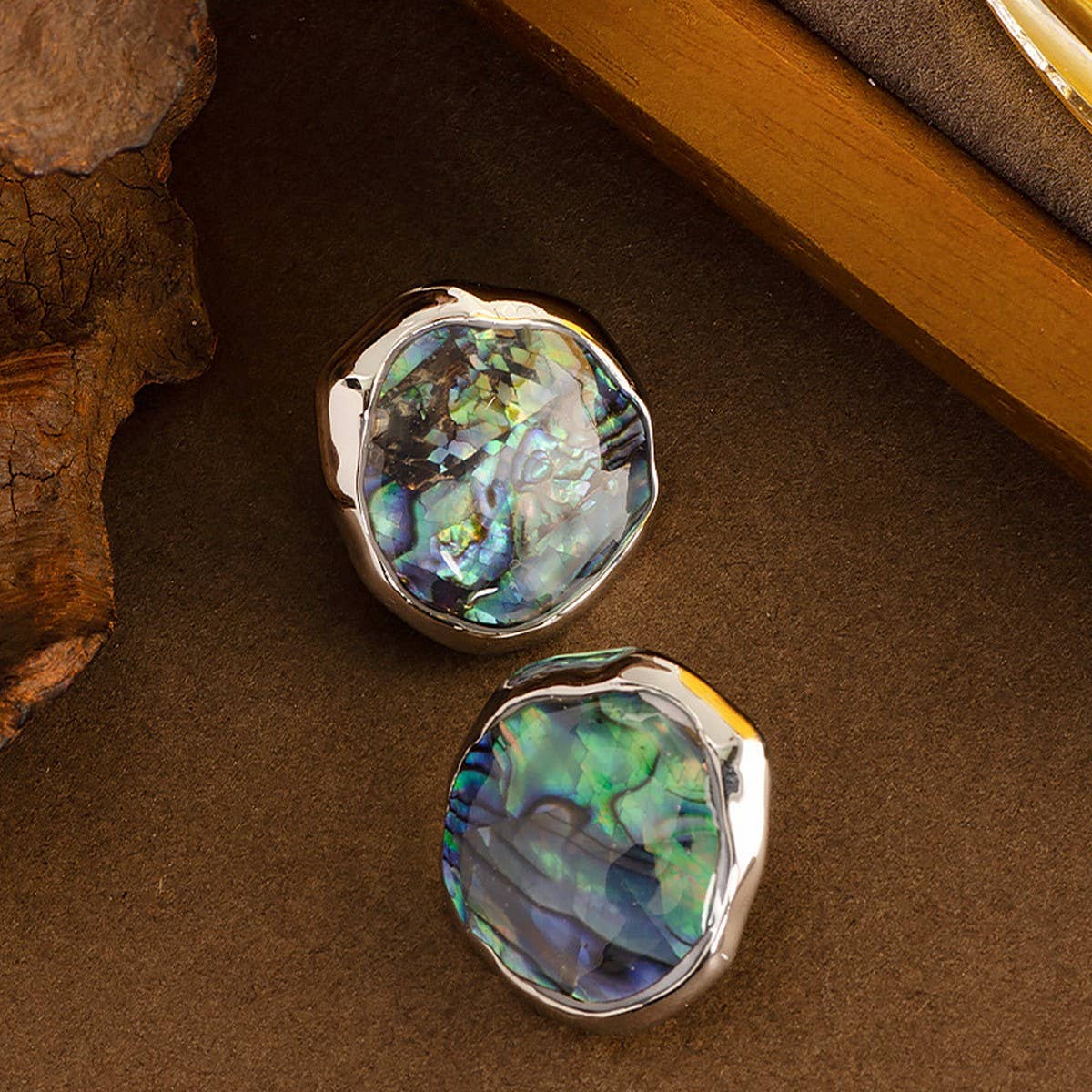 NATURAL ABALONE SHELL SILVER NEEDLE EARRINGS_CWMM4295