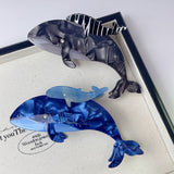 2024 NEW OCEAN SHARK HAIR CLIP_CWAHA1344