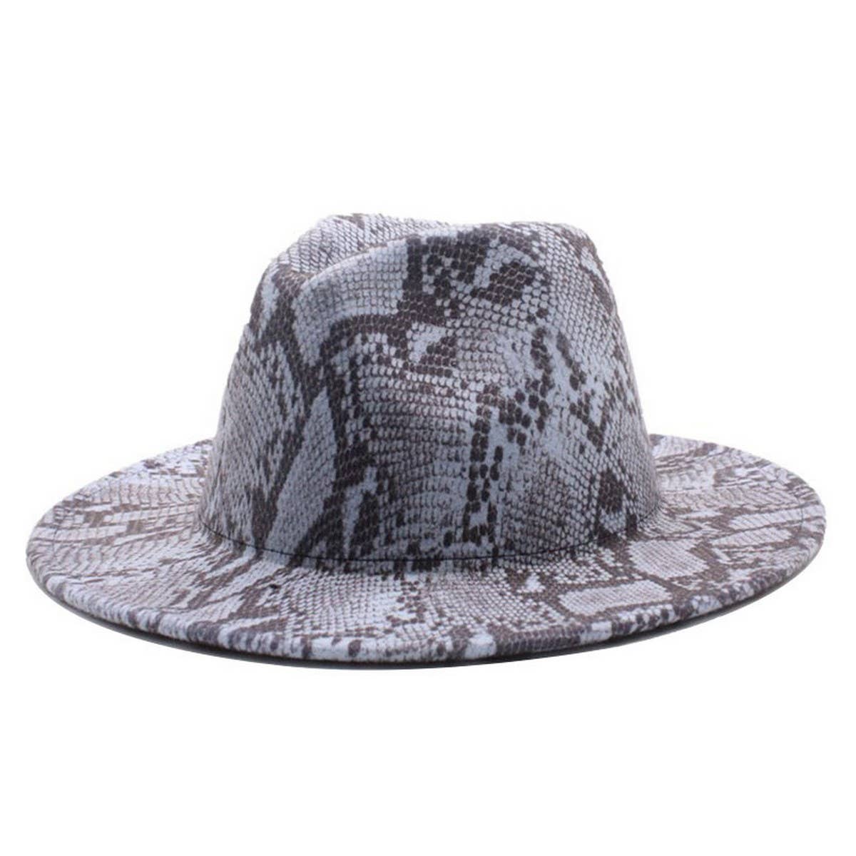 FASHIONABLE SNAKE PATTERN WOOLEN JAZZ HAT_CWAH2588