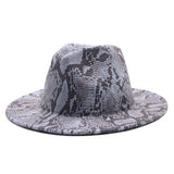 FASHIONABLE SNAKE PATTERN WOOLEN JAZZ HAT_CWAH2588